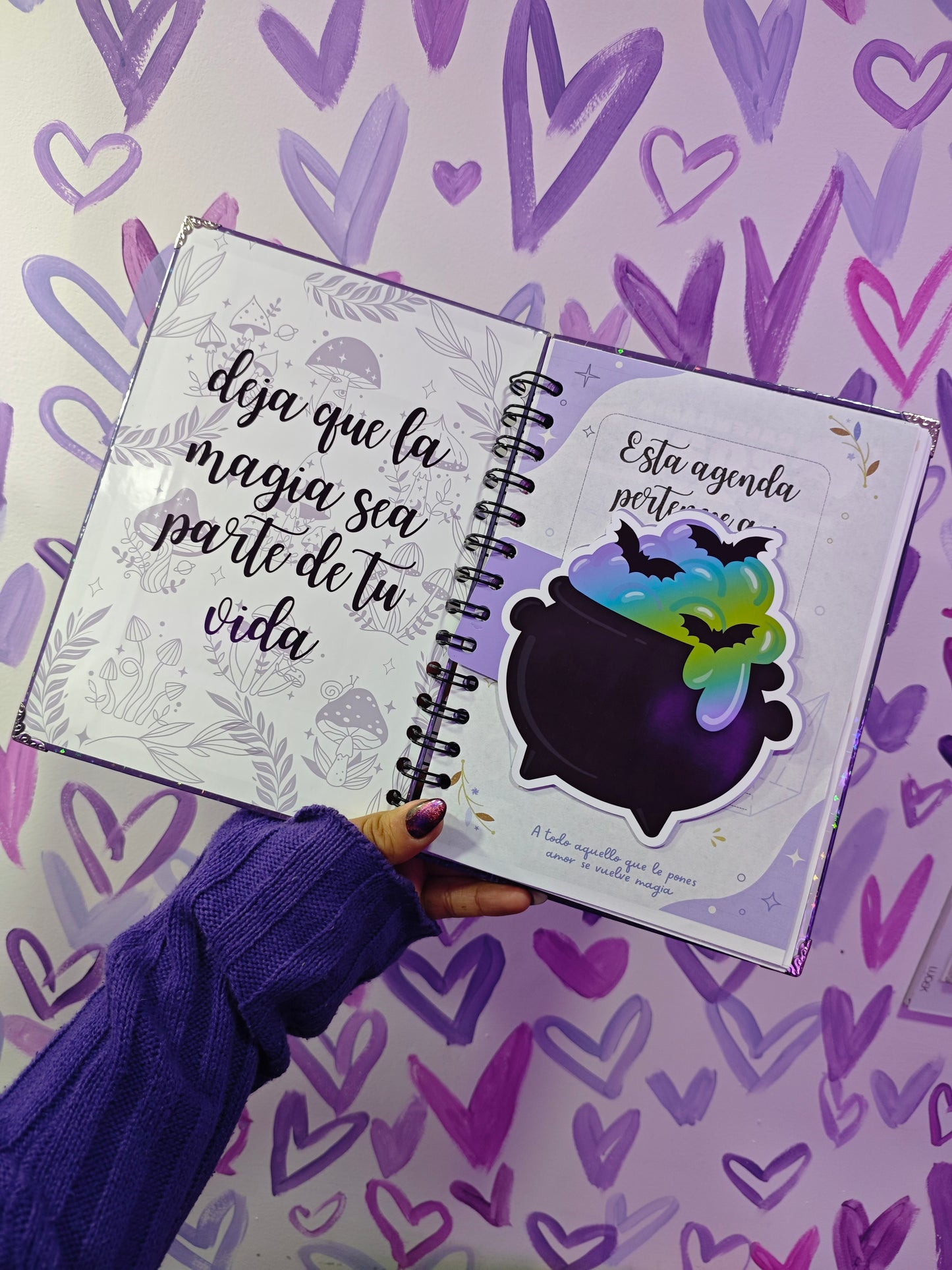 Agenda de lashistas