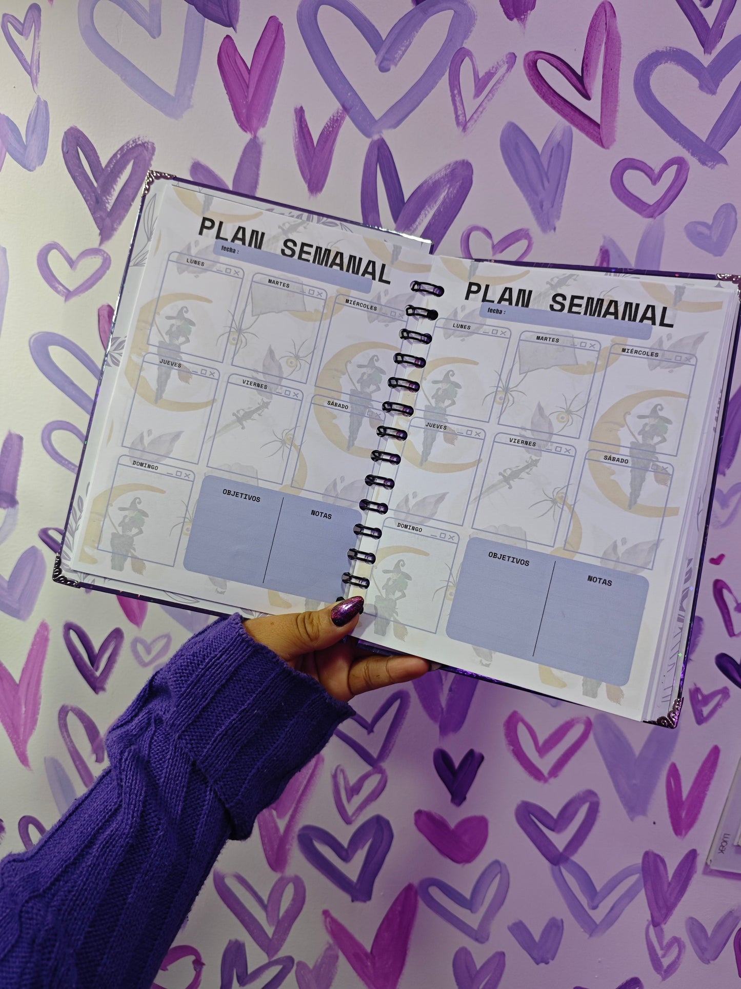 Agenda de lashistas