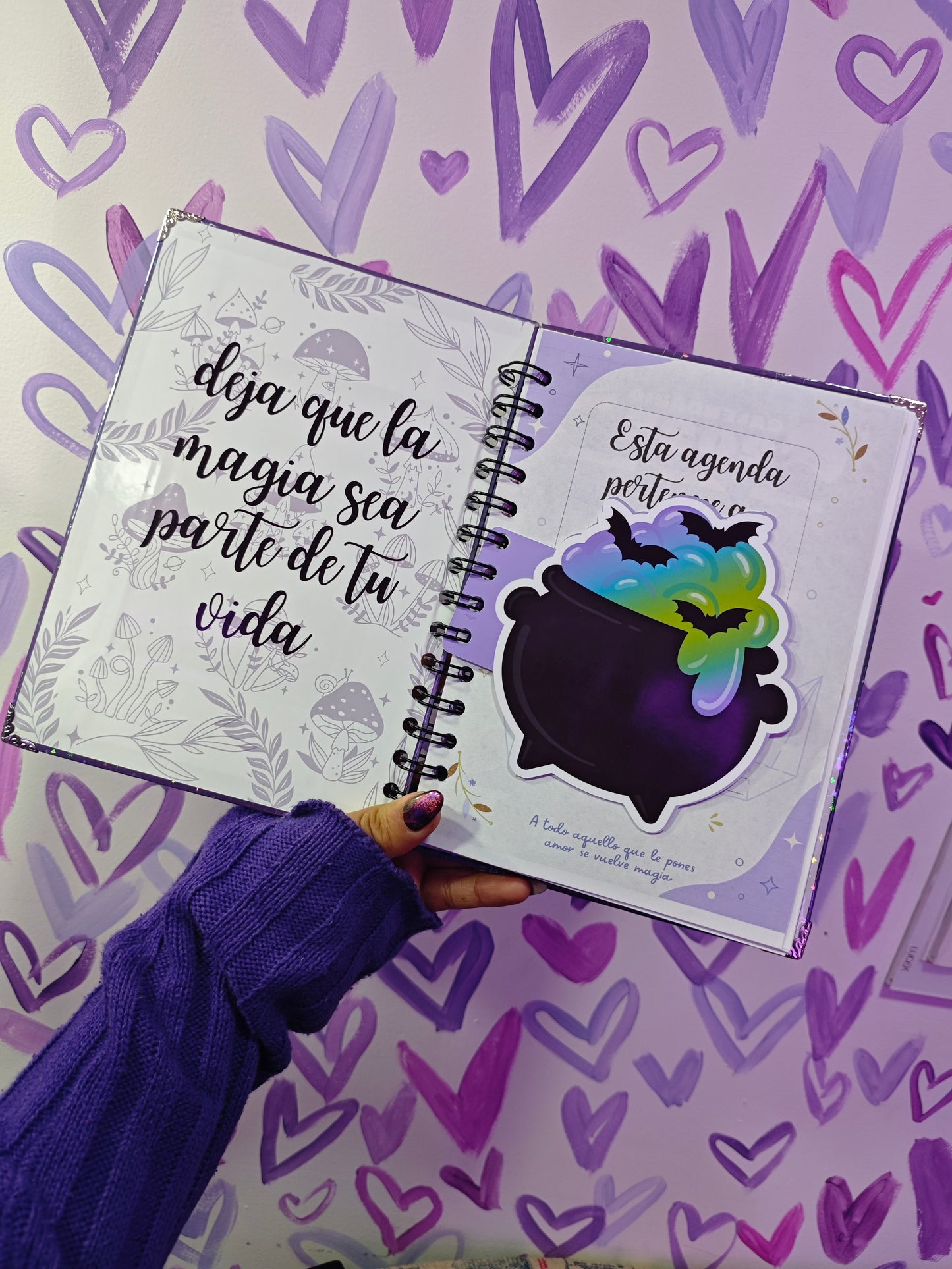 Agenda de lashistas